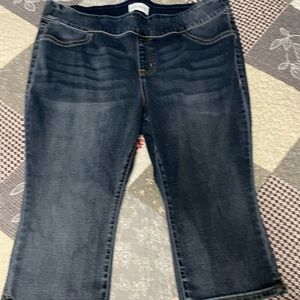 Lane Bryant Pull-On Crop Pants Size 18P